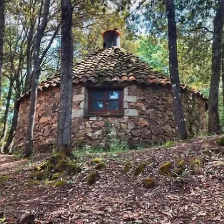 Taloro