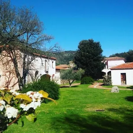 Taloro 4*